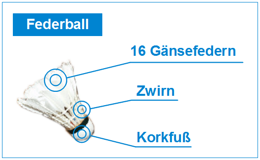 Federball Aufbau